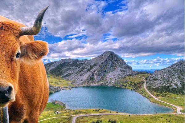 Lagos de Covadonga
