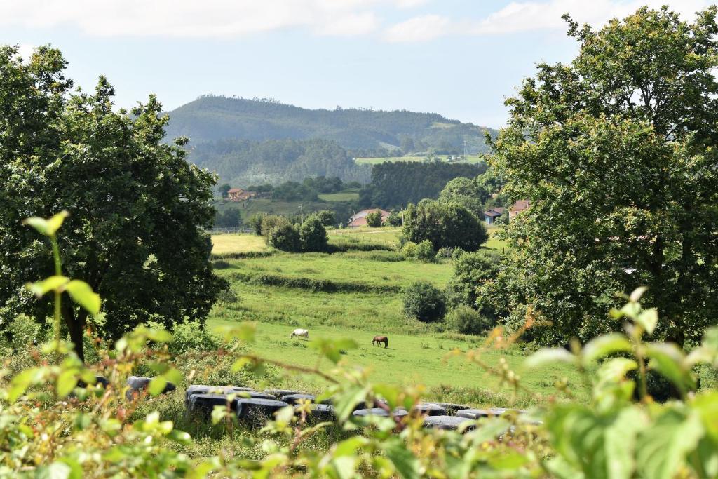 Naturaleza en Ferroñes
